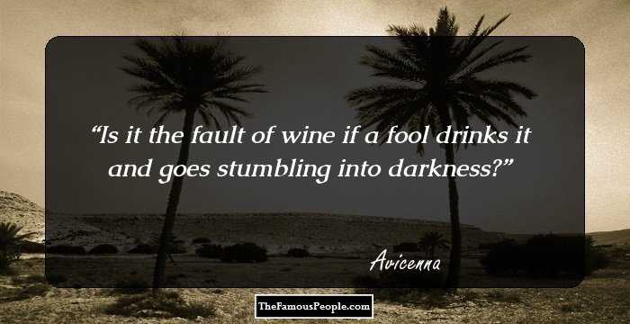 Is it the fault of wine if a fool drinks it and goes stumbling into darkness?