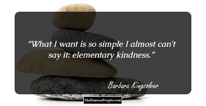 What I want is so simple I almost can't say it: elementary kindness.