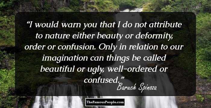 I would warn you that I do not attribute to nature either beauty or deformity, order or confusion. Only in relation to our imagination can things be called beautiful or ugly, well-ordered or confused.