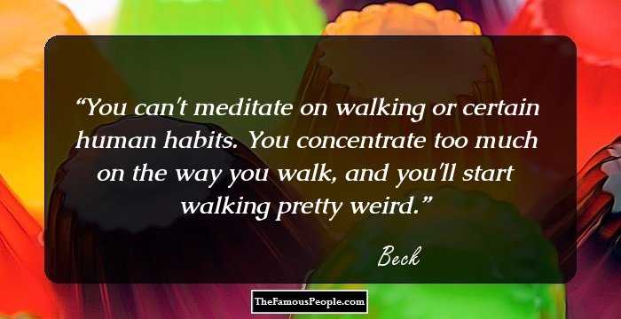 You can't meditate on walking or certain human habits. You concentrate too much on the way you walk, and you'll start walking pretty weird.