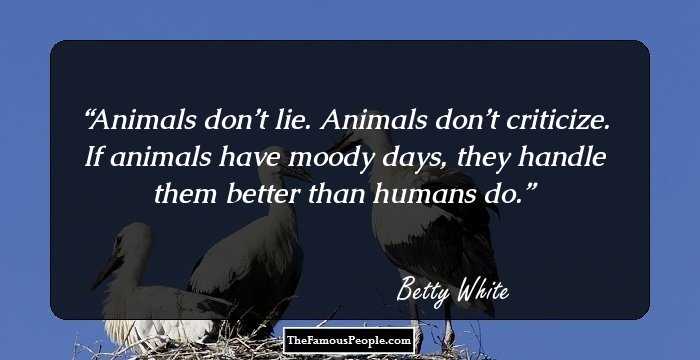 Animals don’t lie. Animals don’t criticize. If animals have moody days, they handle them better than humans do.