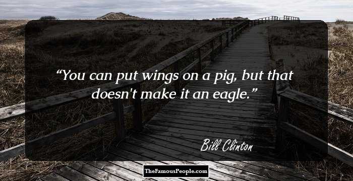 You can put wings on a pig, but that doesn't make it an eagle.