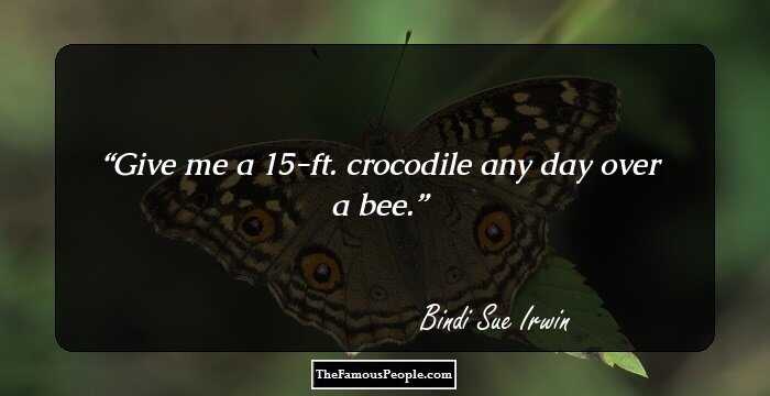 Give me a 15-ft. crocodile any day over a bee.