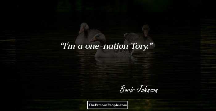 I'm a one-nation Tory.