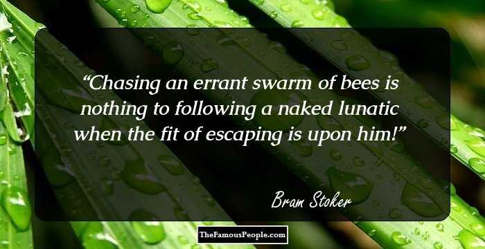 Chasing an errant swarm of bees is nothing to following a naked lunatic when the fit of escaping is upon him!