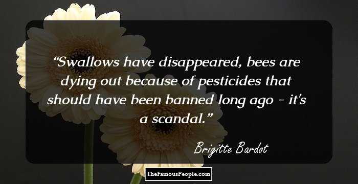 Swallows have disappeared, bees are dying out because of pesticides that should have been banned long ago - it's a scandal.