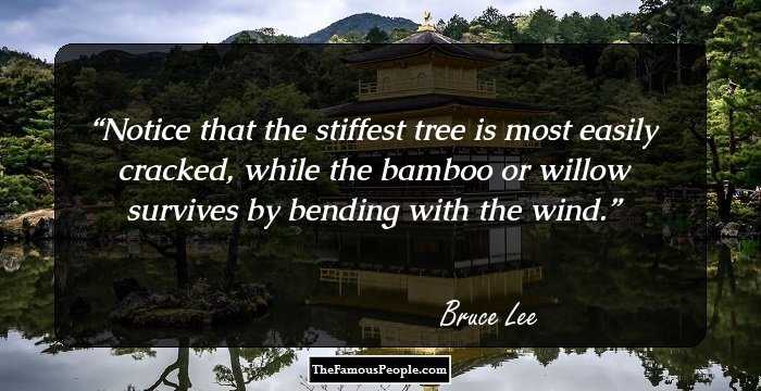 Notice that the stiffest tree is most easily cracked, while the bamboo or willow survives by bending with the wind.