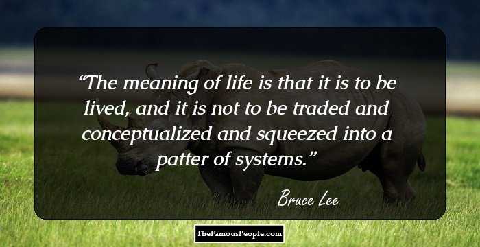 The meaning of life is that it is to be lived, and it is not to be traded and conceptualized and squeezed into a patter of systems.