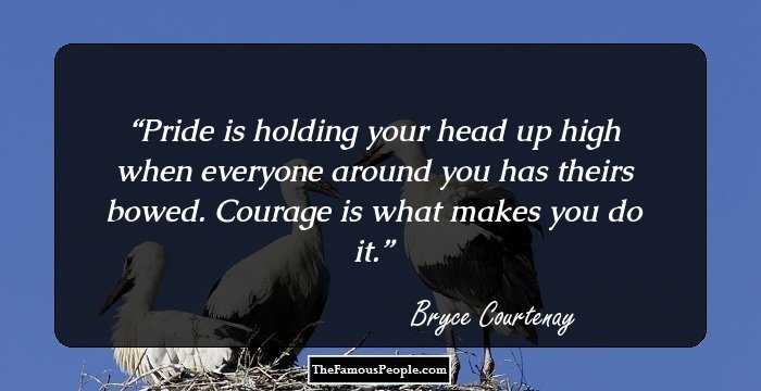 Pride is holding your head up high when everyone around you has theirs bowed. Courage is what makes you do it.