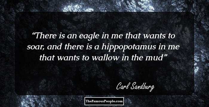 There is an eagle in me that wants to soar, and there is a hippopotamus in me that wants to wallow in the mud