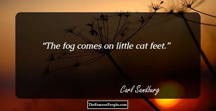 The fog comes on little cat feet.
