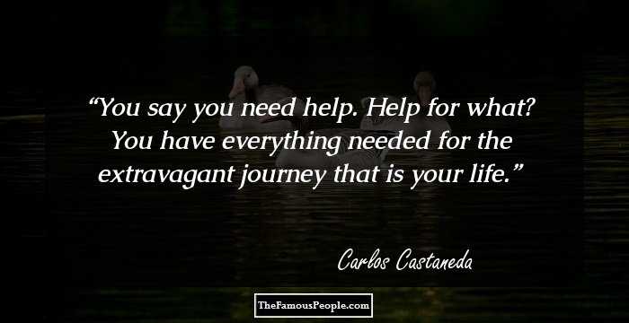 You say you need help. Help for what? You have everything needed for the extravagant journey that is your life.