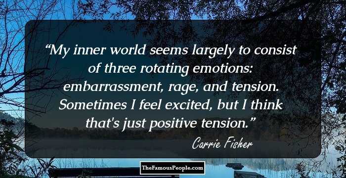 My inner world seems largely to consist of three rotating emotions: embarrassment, rage, and tension. Sometimes I feel excited, but I think that's just positive tension.