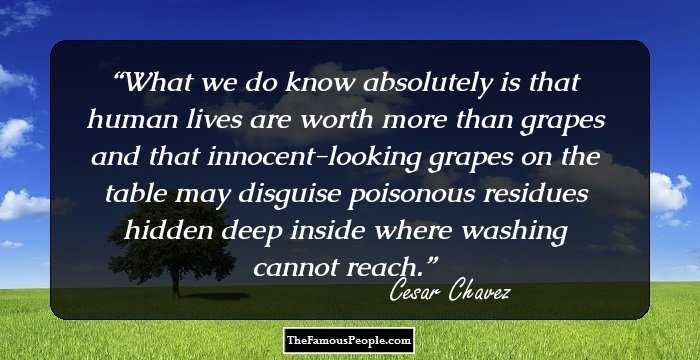 What we do know absolutely is that human lives are worth more than grapes and that innocent-looking grapes on the table may disguise poisonous residues hidden deep inside where washing cannot reach.