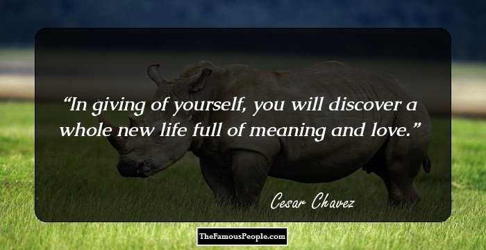 In giving of yourself, you will discover a whole new life full of meaning and love.