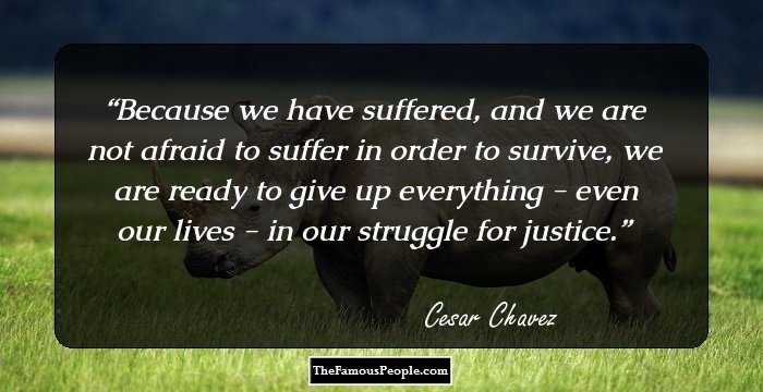 Because we have suffered, and we are not afraid to suffer in order to survive, we are ready to give up everything - even our lives - in our struggle for justice.
