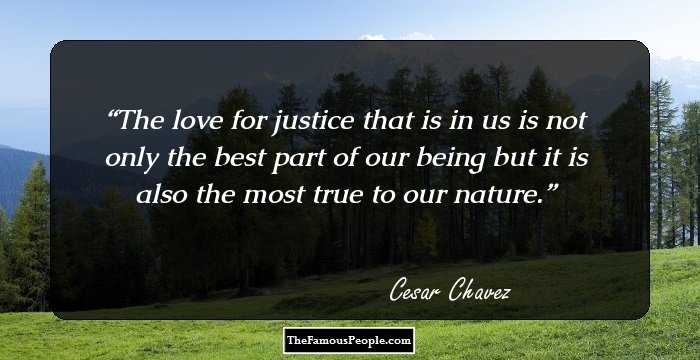 The love for justice that is in us is not only the best part of our being but it is also the most true to our nature.
