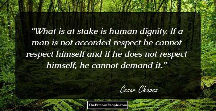 What is at stake is human dignity. If a man is not accorded respect he cannot respect himself and if he does not respect himself, he cannot demand it.