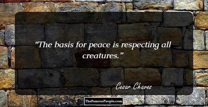 The basis for peace is respecting all creatures.