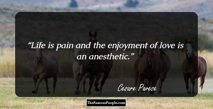 Life is pain and the enjoyment of love is an anesthetic.