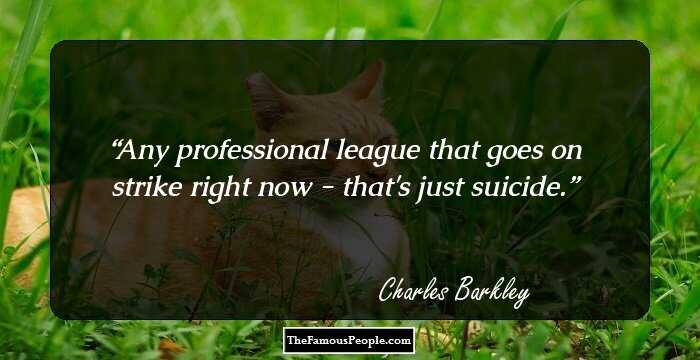 Any professional league that goes on strike right now - that's just suicide.