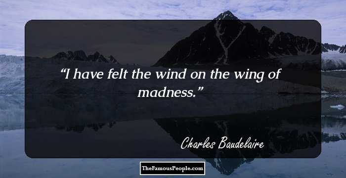 I have felt the wind on the wing of madness.
