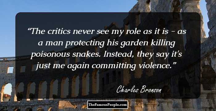 The critics never see my role as it is - as a man protecting his garden killing poisonous snakes. Instead, they say it's just me again committing violence.