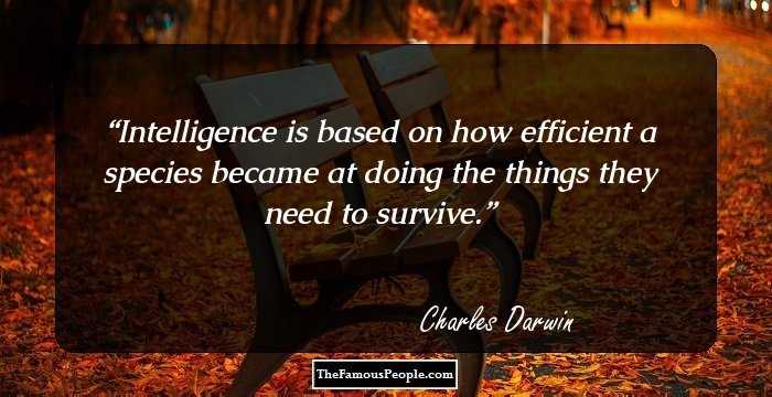 Intelligence is based on how efficient a species became at doing the things they need to survive.