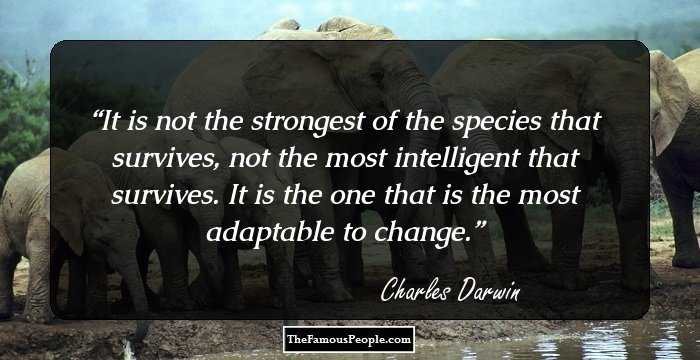 It is not the strongest of the species that survives,
not the most intelligent that survives.
It is the one that is the most adaptable to change.