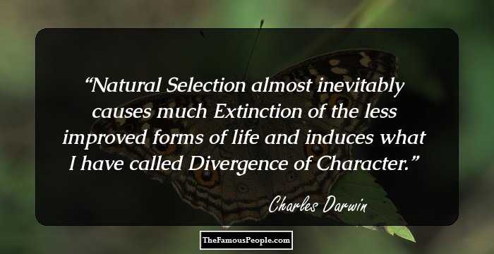 Natural Selection almost inevitably causes much Extinction of the less improved forms of life and induces what I have called Divergence of Character.