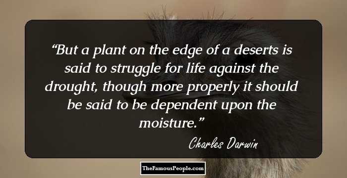 But a plant on the edge of a deserts is said to struggle for life against the drought, though more properly it should be said to be dependent upon the moisture.