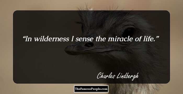 In wilderness I sense the miracle of life.
