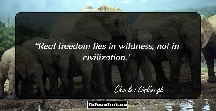 Real freedom lies in wildness, not in civilization.