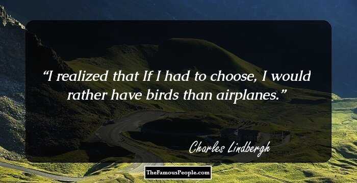 I realized that If I had to choose, I would rather have birds than airplanes.