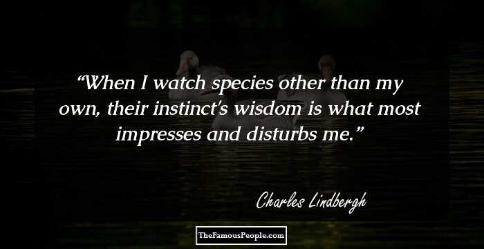 When I watch species other than my own, their instinct's wisdom is what most impresses and disturbs me.