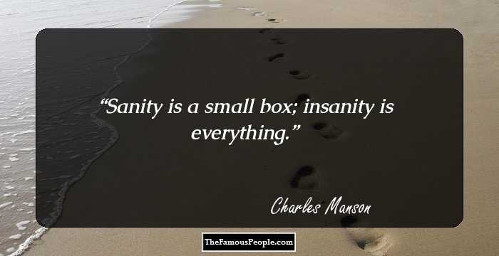 Sanity is a small box; insanity is everything.