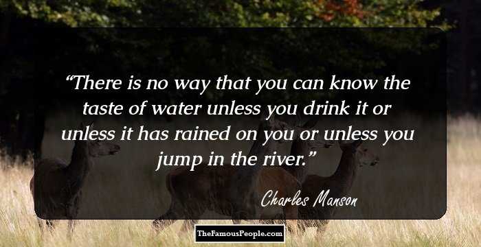 There is no way that you can know the taste of water unless you drink it or unless it has rained on you or unless you jump in the river.