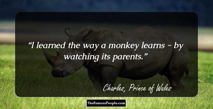 I learned the way a monkey learns - by watching its parents.