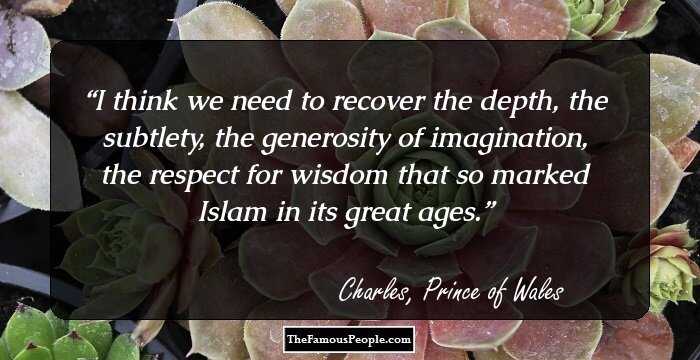 I think we need to recover the depth, the subtlety, the generosity of imagination, the respect for wisdom that so marked Islam in its great ages.