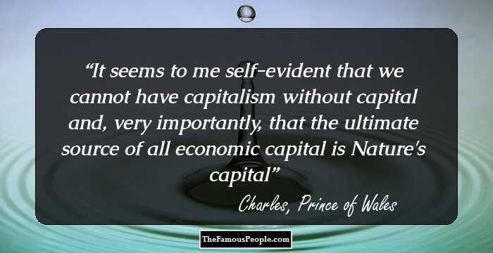 It seems to me self-evident that we cannot have capitalism without capital and, very importantly, that the ultimate source of all economic capital is Nature's capital