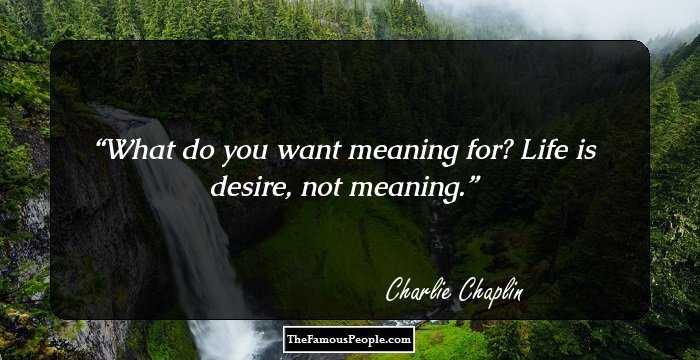 What do you want meaning for? Life is desire, not meaning.