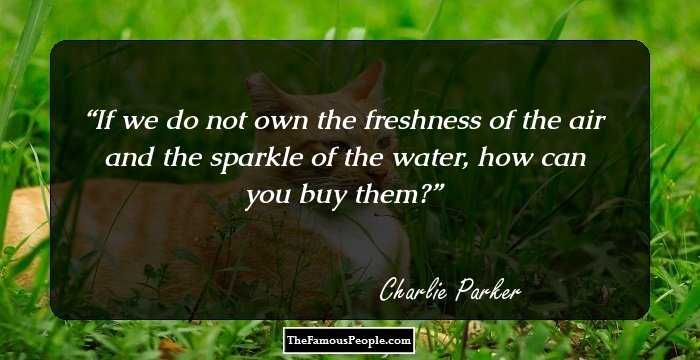 If we do not own the freshness of the air and the sparkle of the water, how can you buy them?
