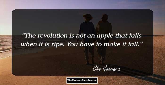 The revolution is not an apple that falls when it is ripe. You have to make it fall.