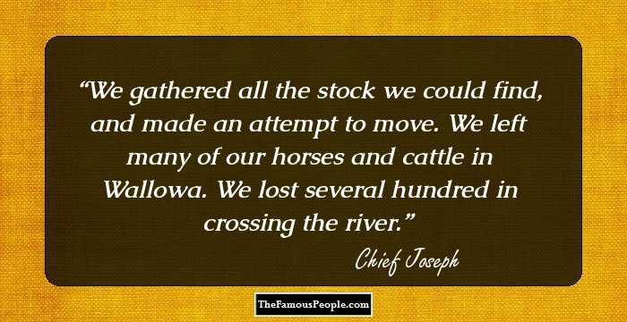 We gathered all the stock we could find, and made an attempt to move. We left many of our horses and cattle in Wallowa. We lost several hundred in crossing the river.