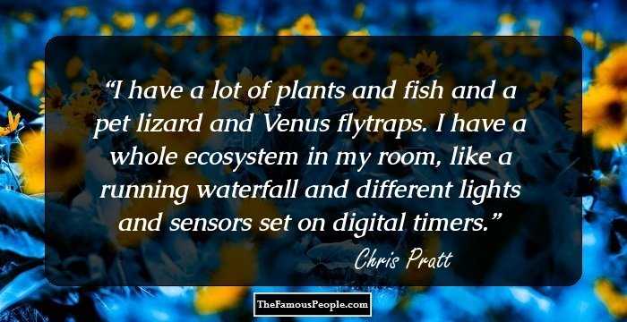 I have a lot of plants and fish and a pet lizard and Venus flytraps. I have a whole ecosystem in my room, like a running waterfall and different lights and sensors set on digital timers.
