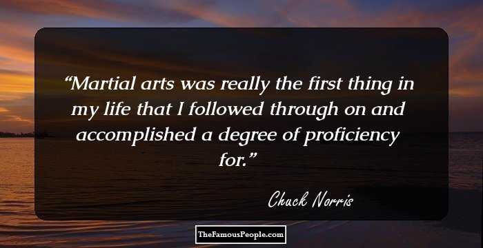 Martial arts was really the first thing in my life that I followed through on and accomplished a degree of proficiency for.