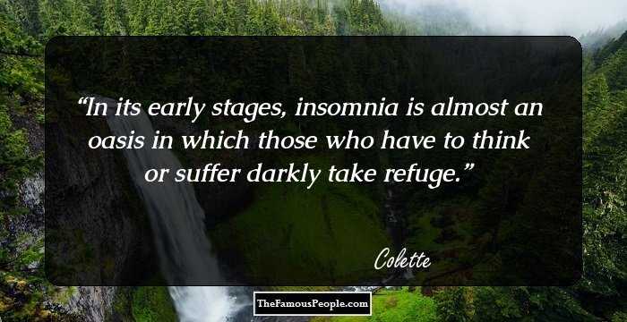 In its early stages, insomnia is almost an oasis in which those who have to think or suffer darkly take refuge.