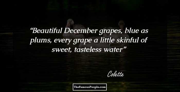 Beautiful December grapes, blue as plums, every grape a little skinful of sweet, tasteless water