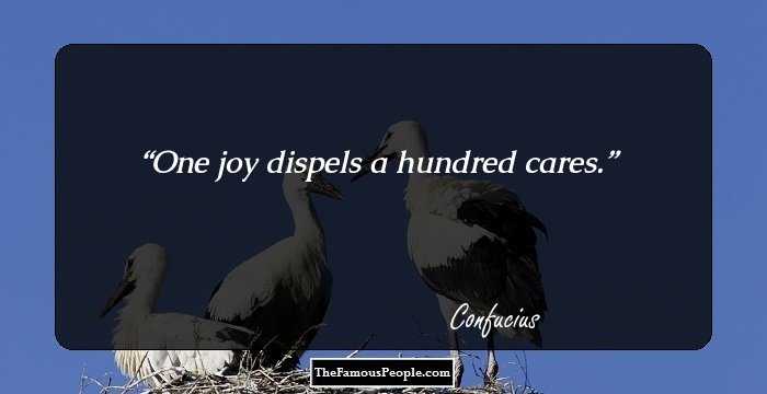 One joy dispels a hundred cares.