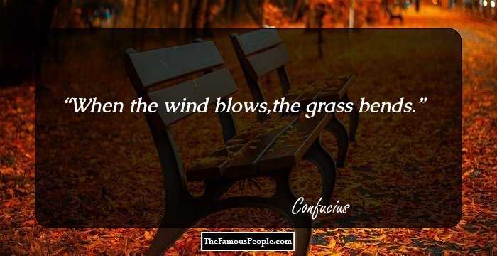 When the wind blows,the grass bends.